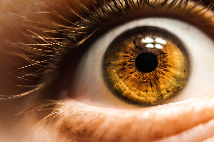 Herbal Reconnection Eye Iridology
