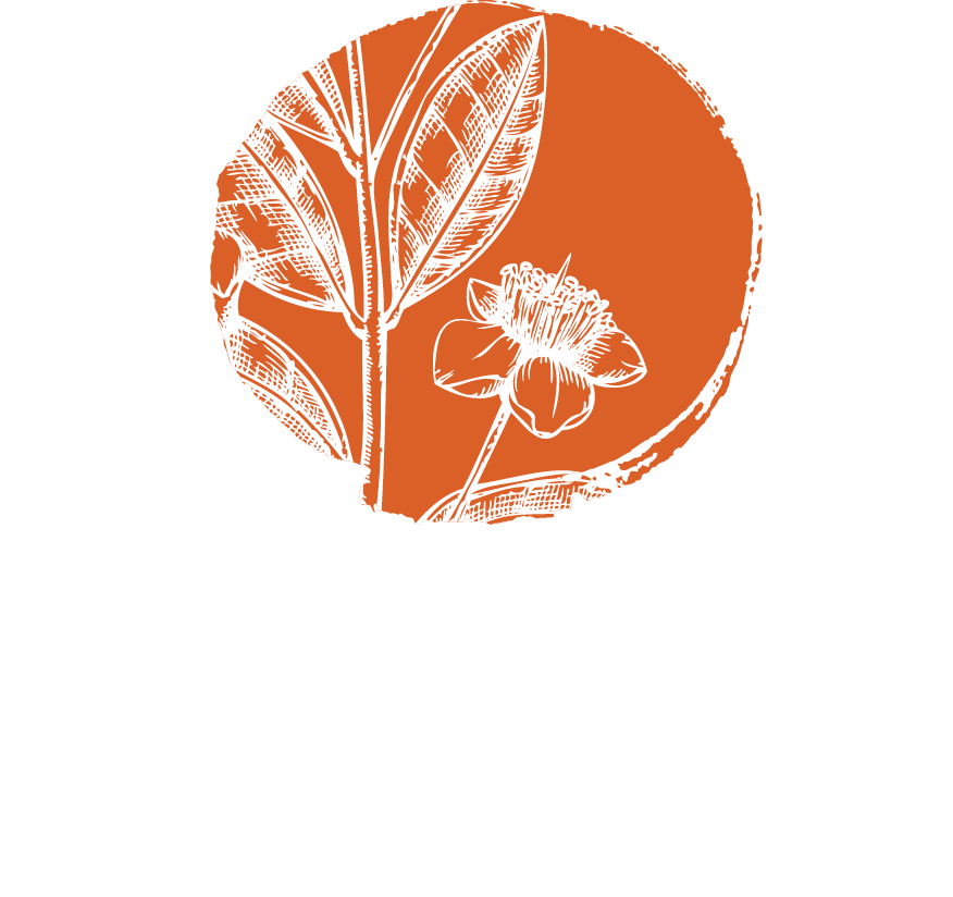 Herbal Reconnection Logo